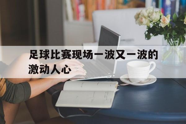 jiuyou官网入口-足球比赛现场一波又一波的激动人心